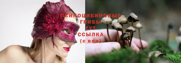 дурь Богородск