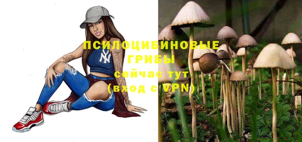 дурь Богородск