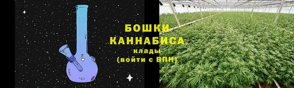 дурь Богородск