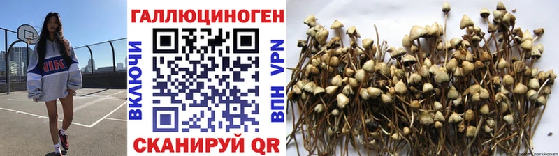 Купить закладки  Солнечногорск  Галлюциногенные грибы мицелий 